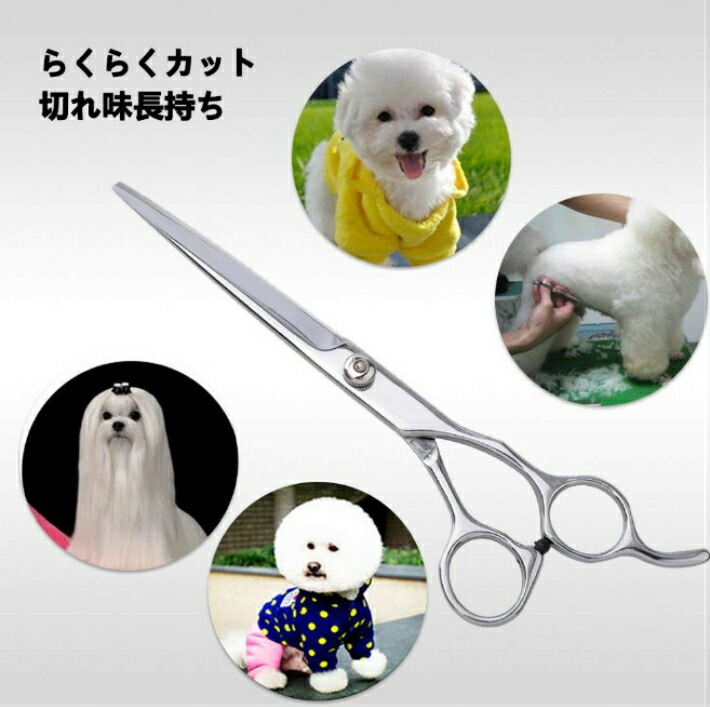 ヒューマンアカデミートリミング(トリマー)講座犬用ハサミ スキバサミ