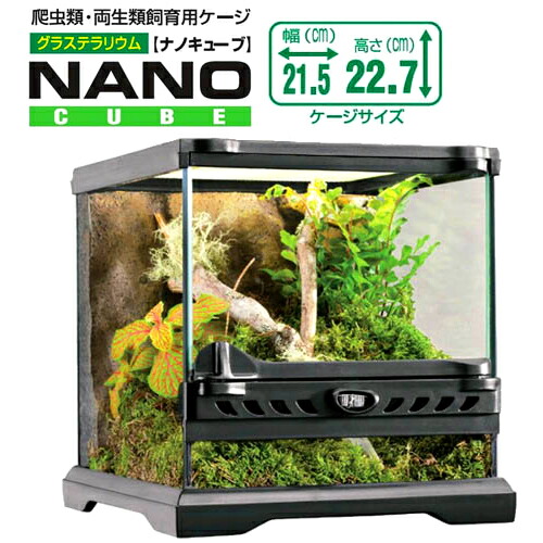 楽天市場】GEX グラステラリウム 4530 爬虫類 飼育 ケージ ガラス