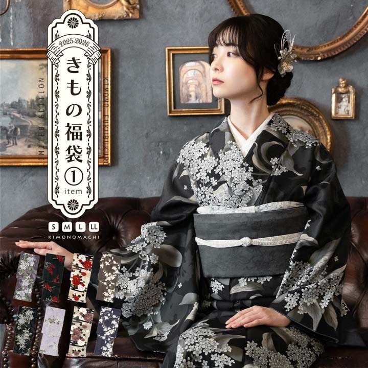 楽天市場】洗える着物 セット「袷着物：ストライプブーケプラム＋京