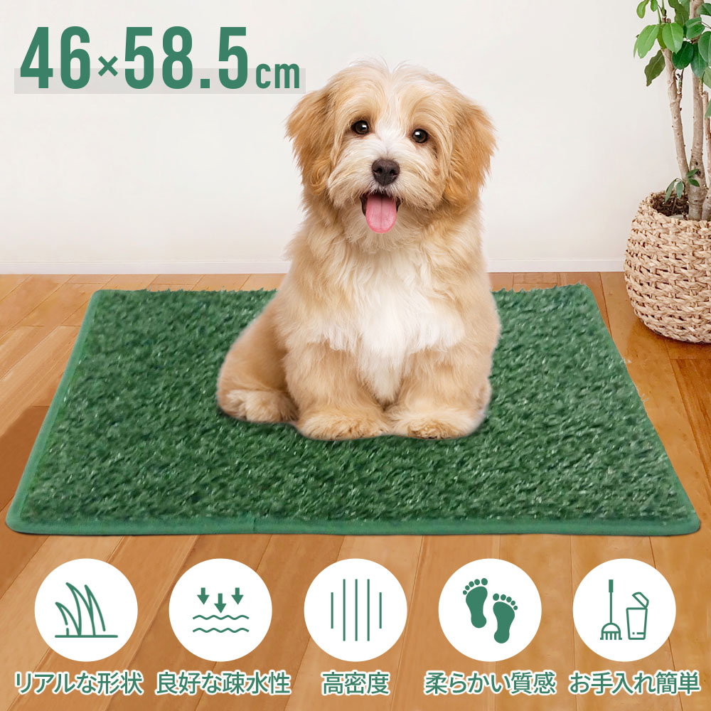 楽天市場】【LINE登録ですぐ使えるクーポン配布中】 犬 トイレ 人工芝