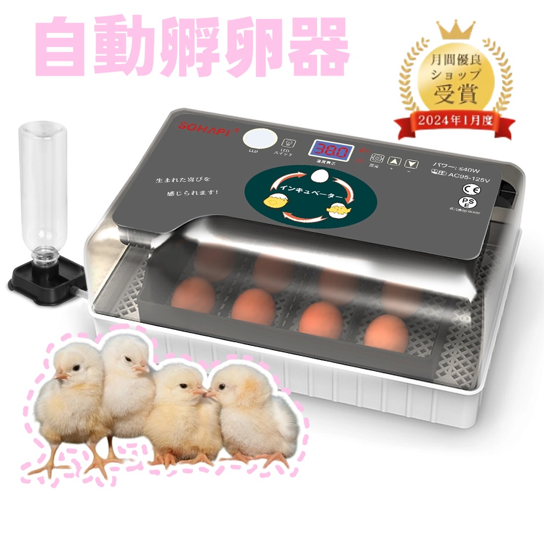 楽天市場】＼今だけ全品5％OFF+P5倍！／【楽天1位】自動孵卵器