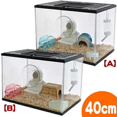 楽天市場】ジャンガリアンハムスター飼育セット【冬仕様】 : 小動物