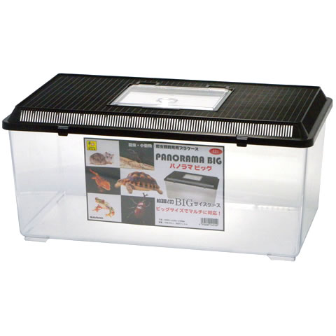 楽天市場】コバエ防止飼育ケース(大) スポンジフィルター付き クワガタ