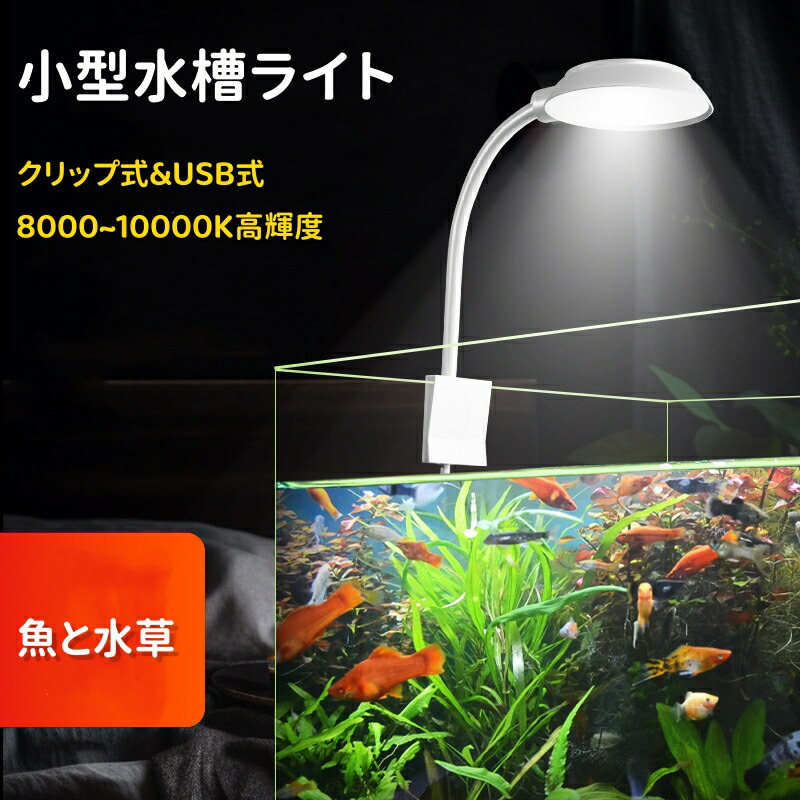 楽天市場】『楽天1位』水族館 クリップライト 照明小型成長ライト
