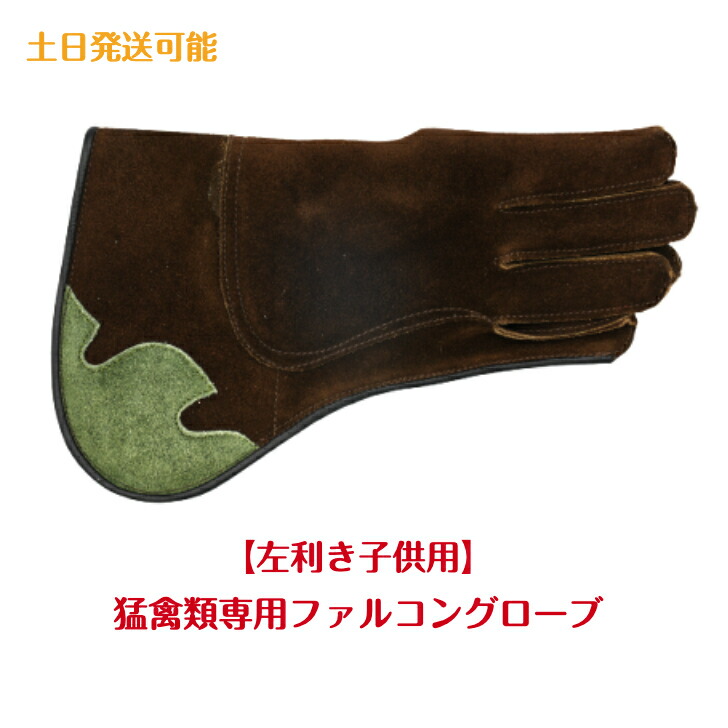 楽天市場】【子供用】猛禽用ファルコングローブ【フリーサイズ