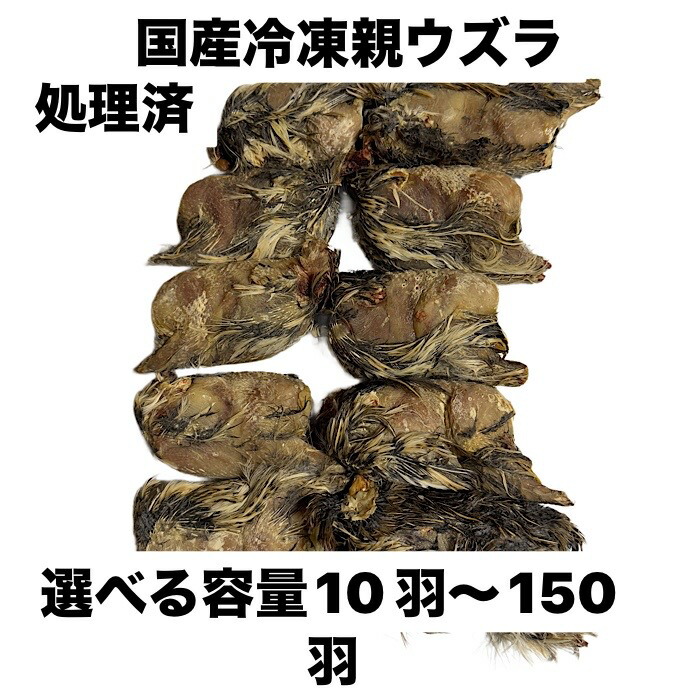 楽天市場】【冷凍】冷凍ウズラ アダルト 10羽（T2）【クール便発送