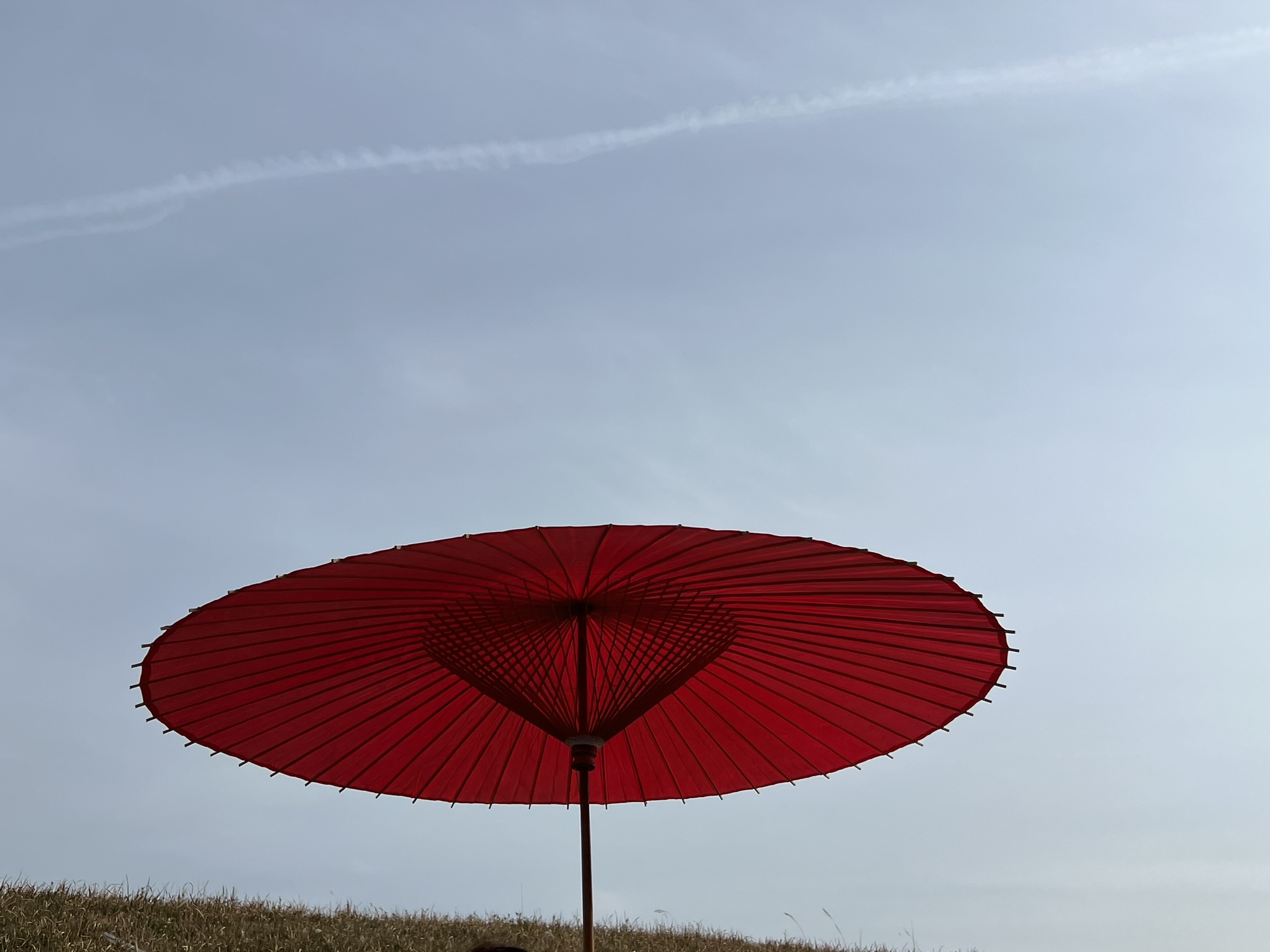 楽天市場】茶道具 野点傘 2.5尺 茶席用 2点セット（本体+鉄製傘立て台