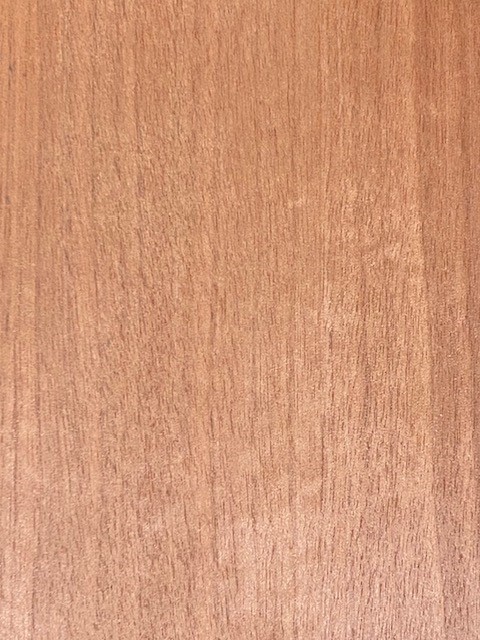 天然木ウッドテープ タモ材粘着付 20mmX50M 2本＋余 木のテープ（タモ