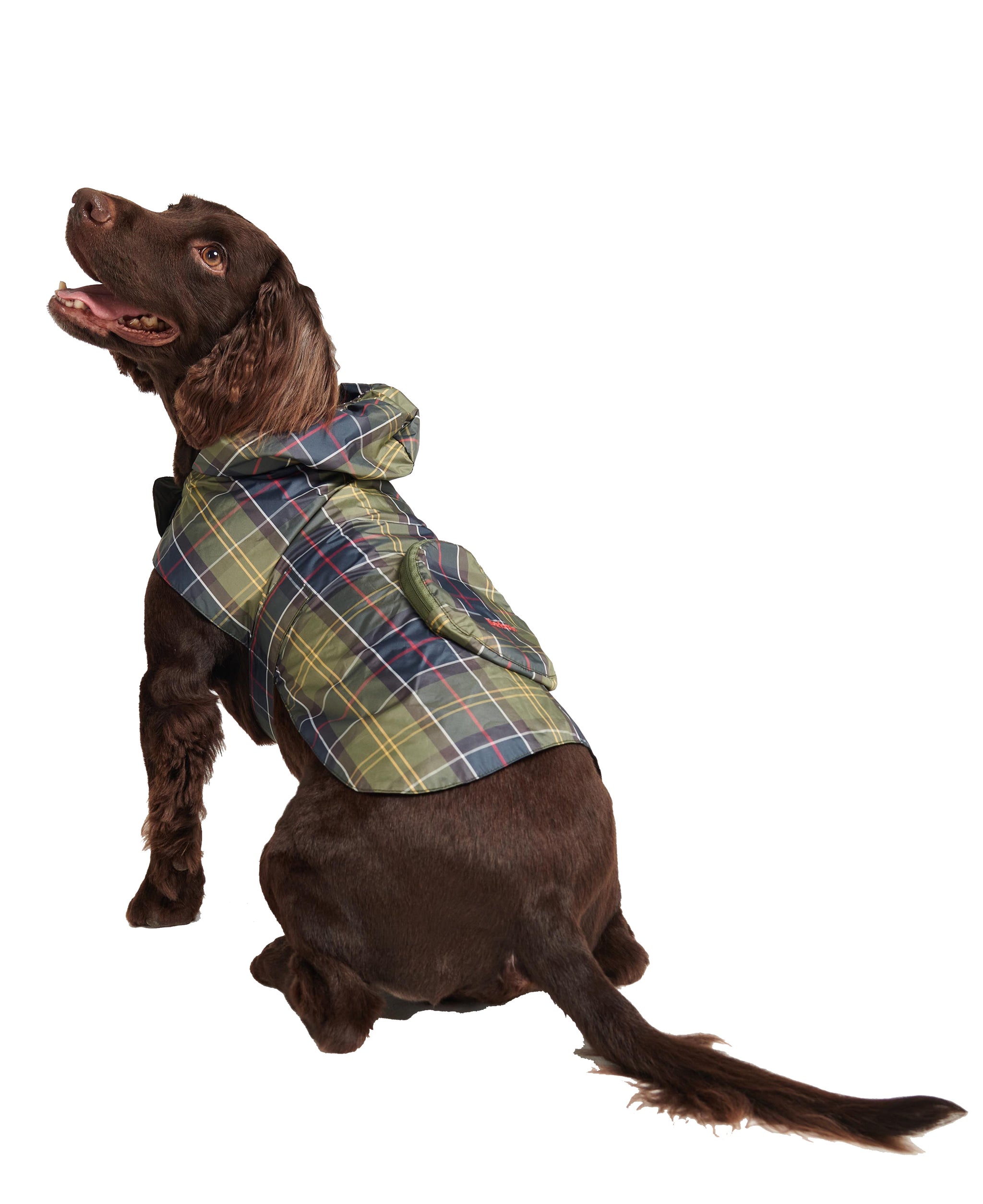 Barbour Packable Tartan Dog Coat – Sea Island Shop