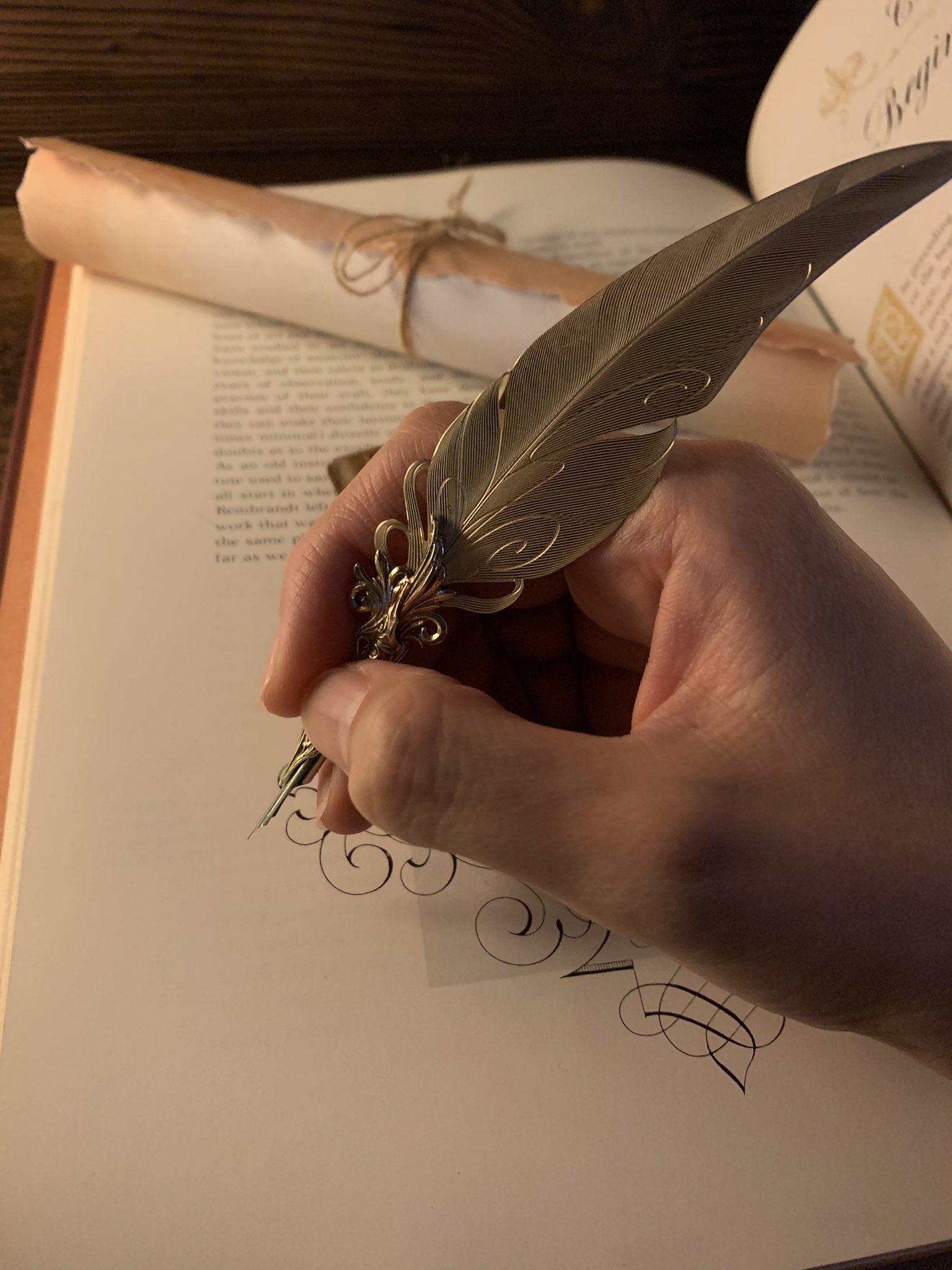 Sipka Online Shop / Gimmel Garden【「Aureo Ibis」羽根ペン】