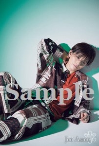 ポートレイトポストカード朝美14: ポストカード・ブロマイド（公演