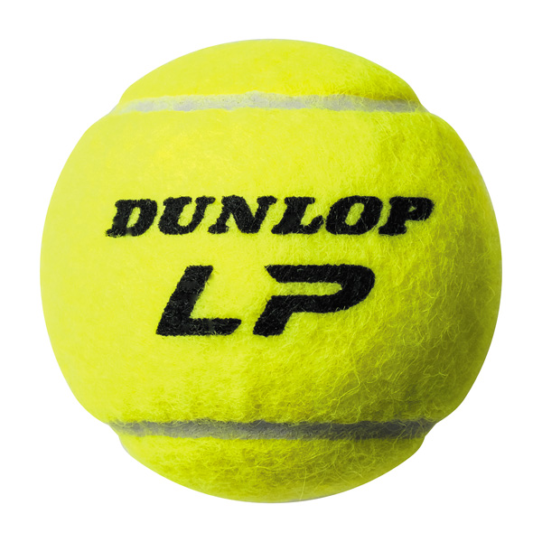 未使用品 DUNLOP FORT 1箱 30缶 60球入 硬式 テニスボール DUNLOP