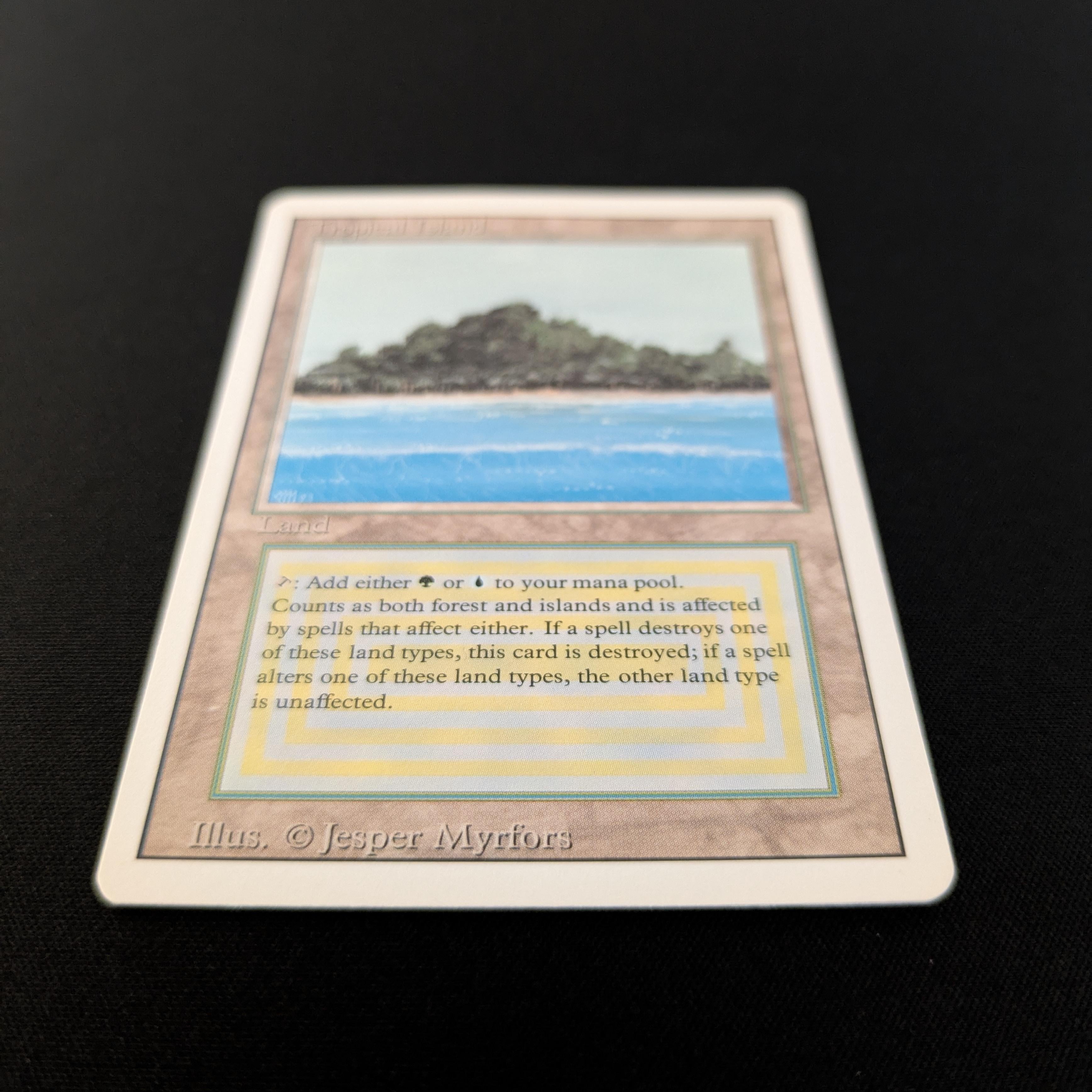 最終価格】MTG Tropical 英語 ① 最終価格】MTG Tropical 英語 ① 最終