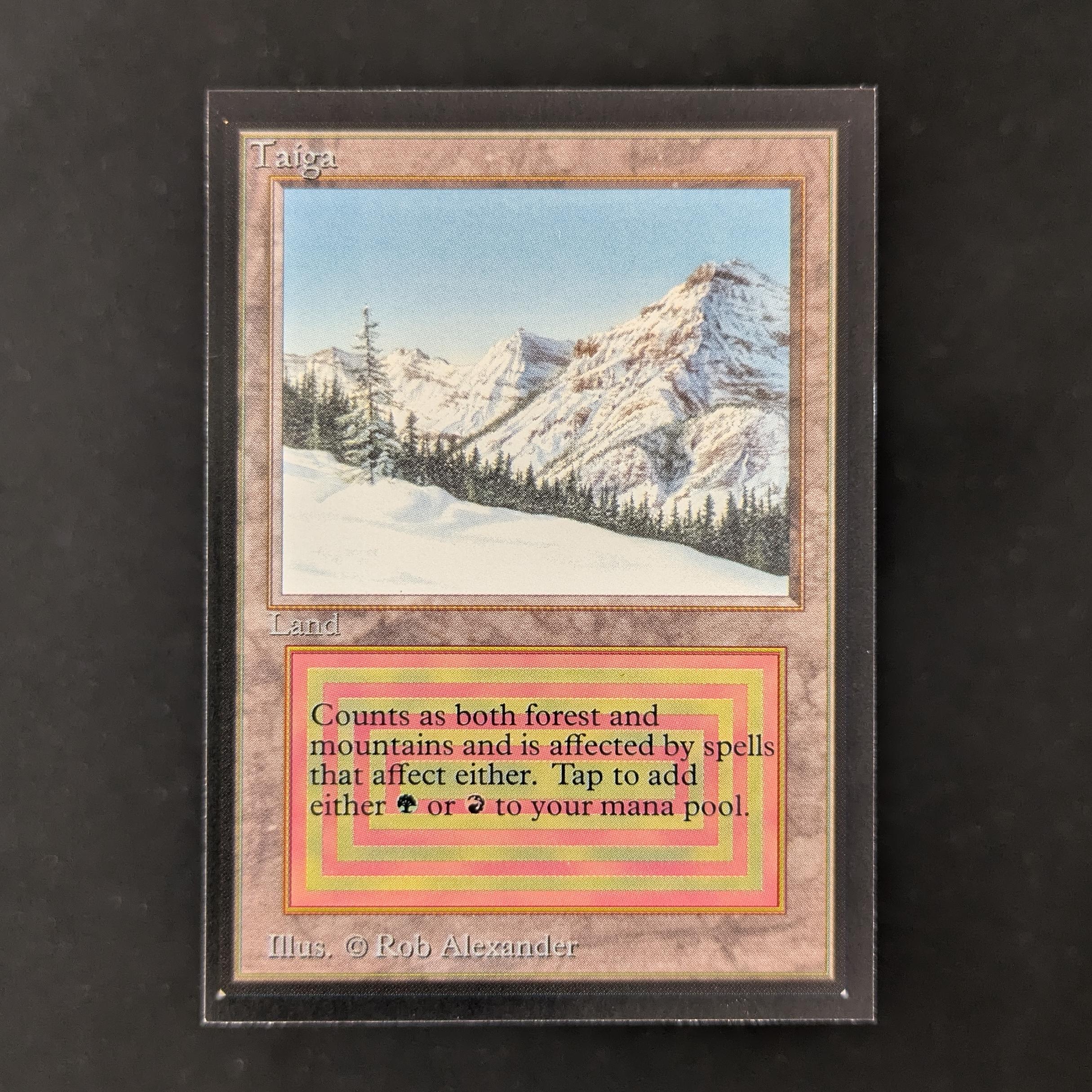 MTG Taiga 【IE】鑑定 Taiga - Collectors' Edition