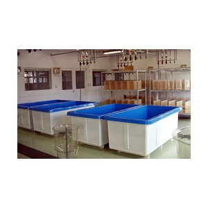 美品FRP発泡張り仕様水槽 引取り限定 美品FRP発泡張り仕様