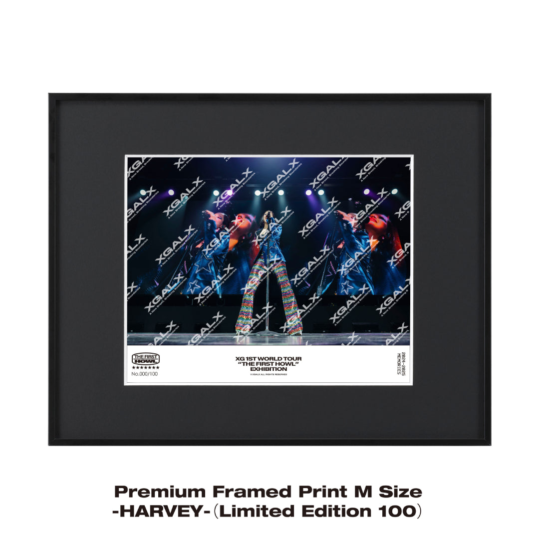 XG カプセルトイ HINATA抜けセミコンプ XG カプセルトイ HINATA抜け