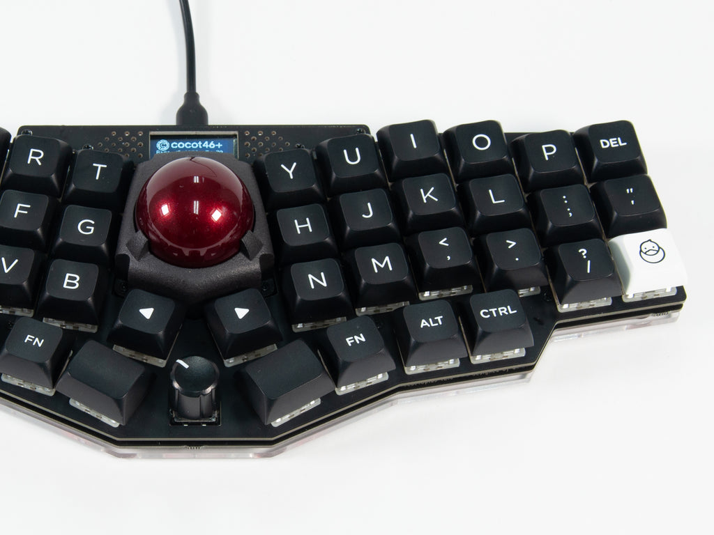 20230311-800_1024x.jpg?v=