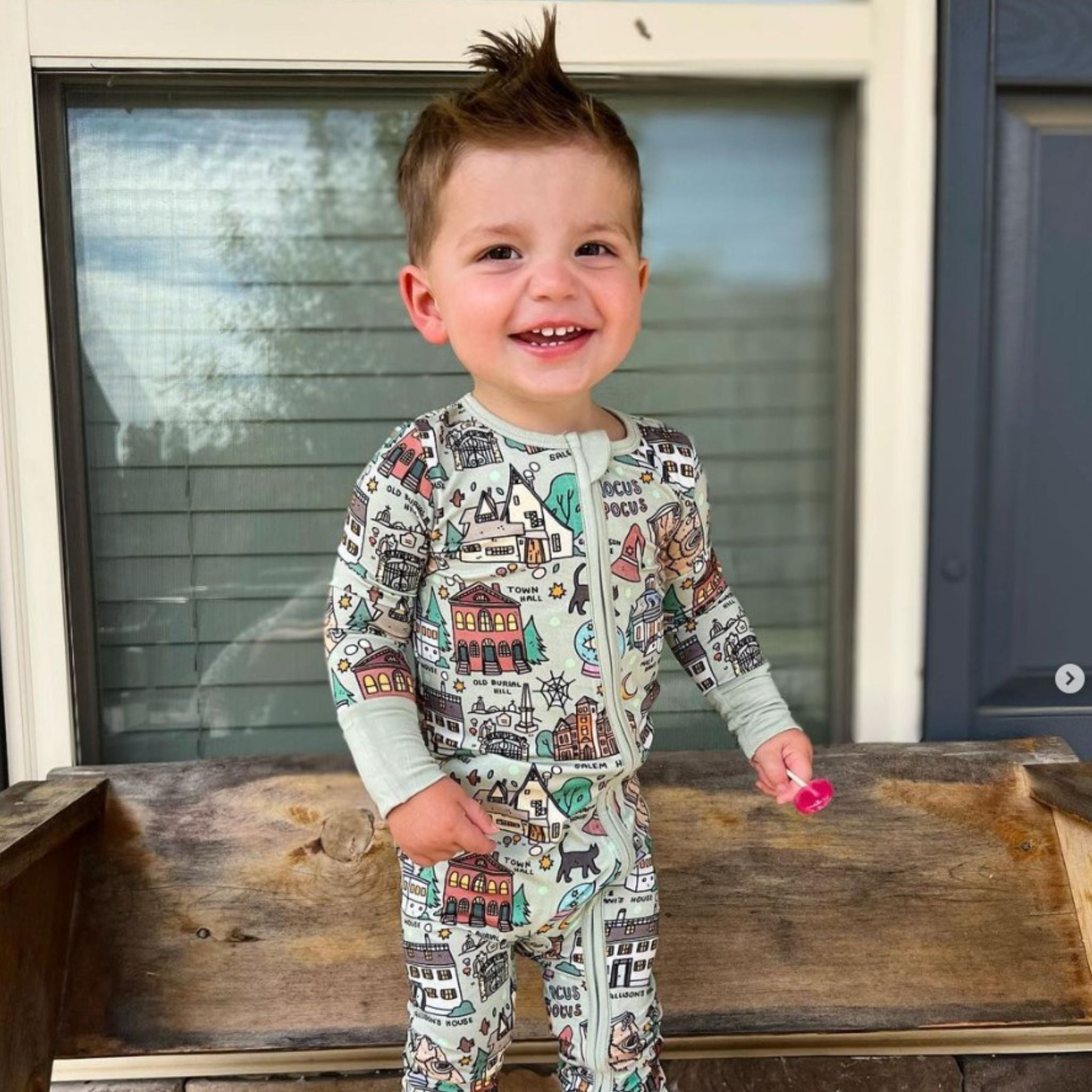 Zollipops® Sugar Free Lollipops Raspberry 3.1oz – Zollicandy