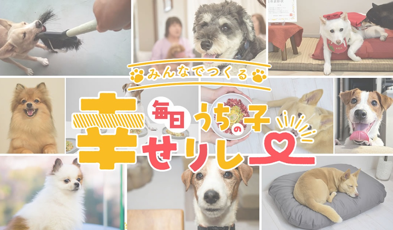 ペット用品・ドッグフードの通販/販売なら帝塚山ハウンドカム