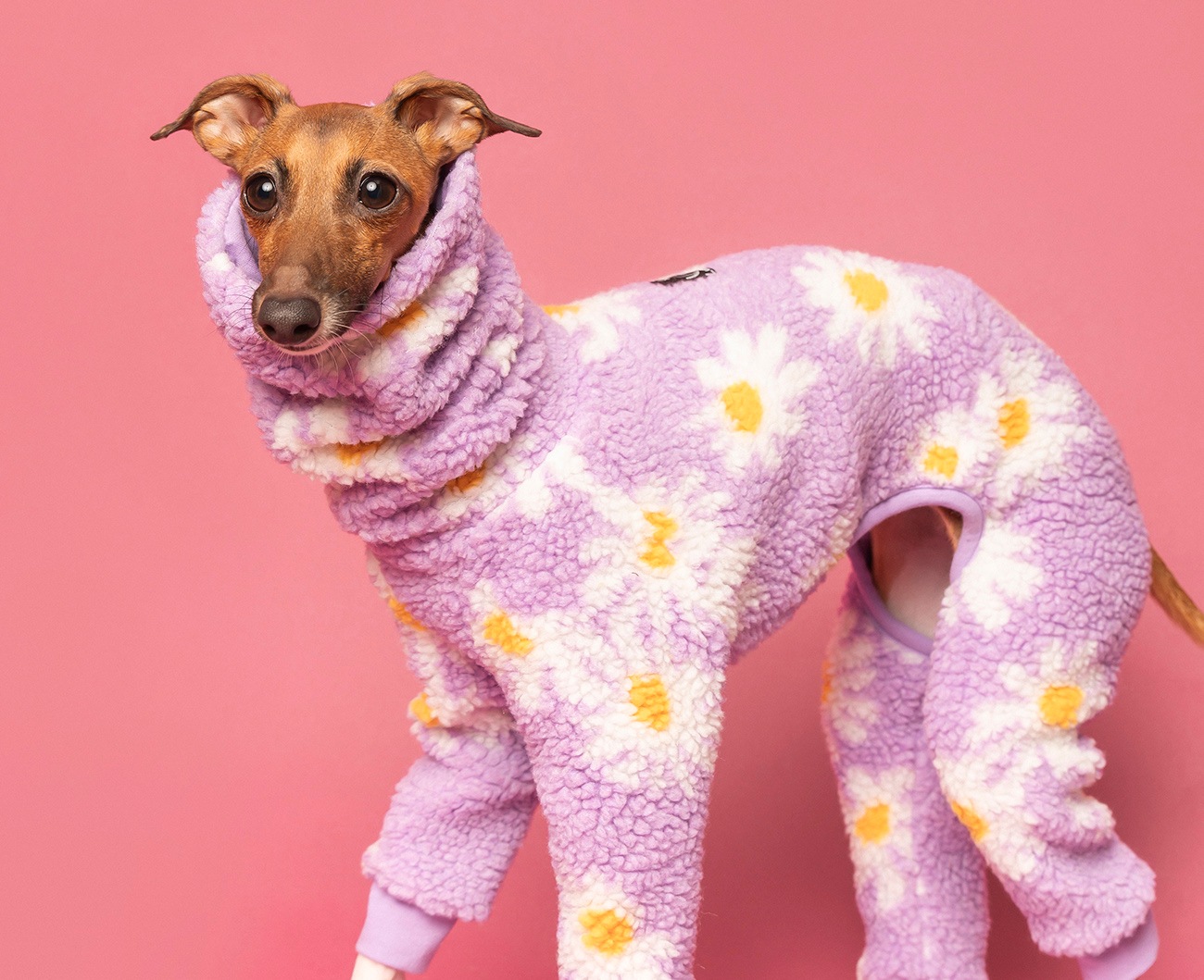 イタグレ服 Lunetta ボアロンパース Mサイズ