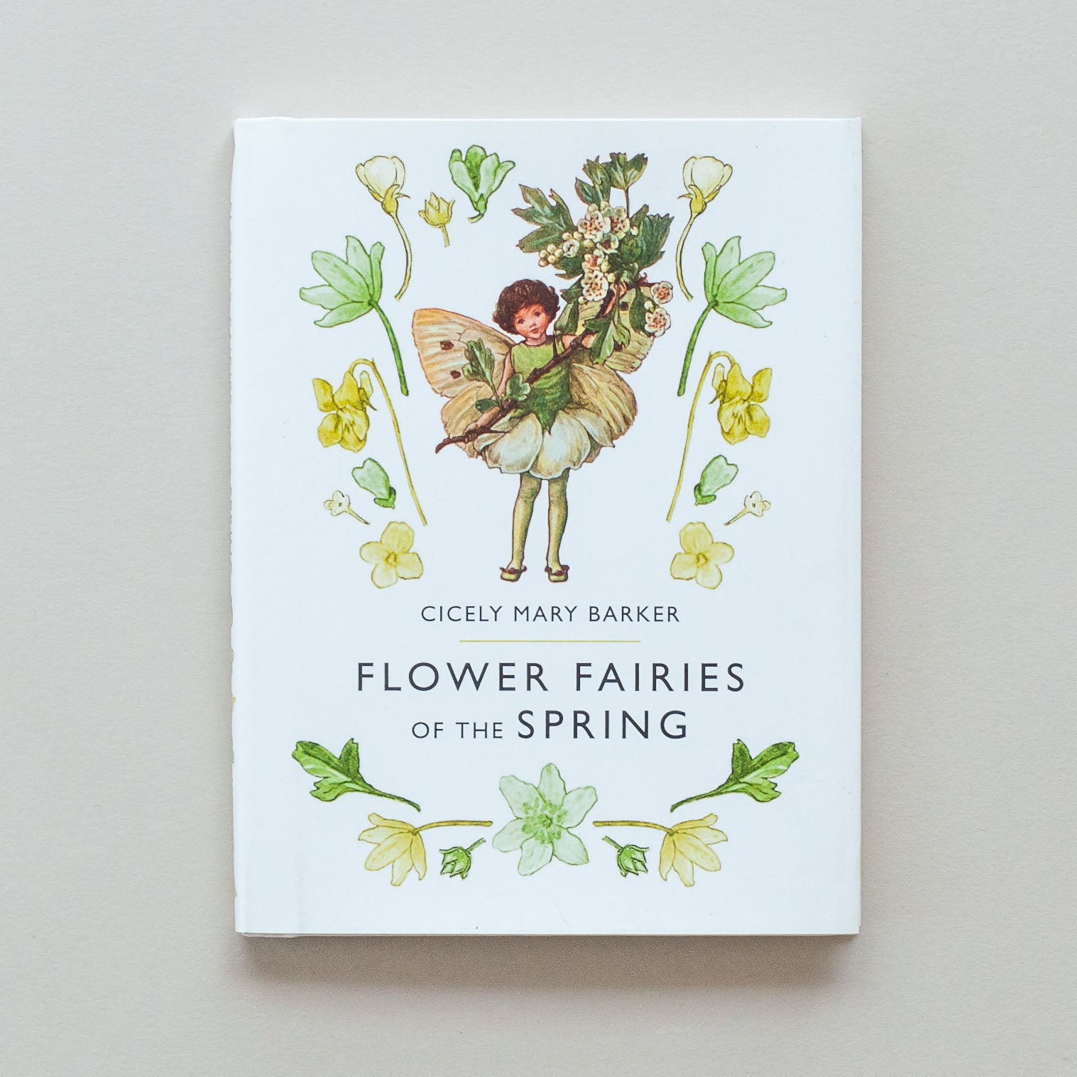 Flower Fairies Book Series - Bookfolk