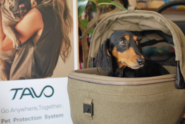 日本初上陸のペットカートTAVO(タボ) | Paddy by WAFONA | 大丸東京店