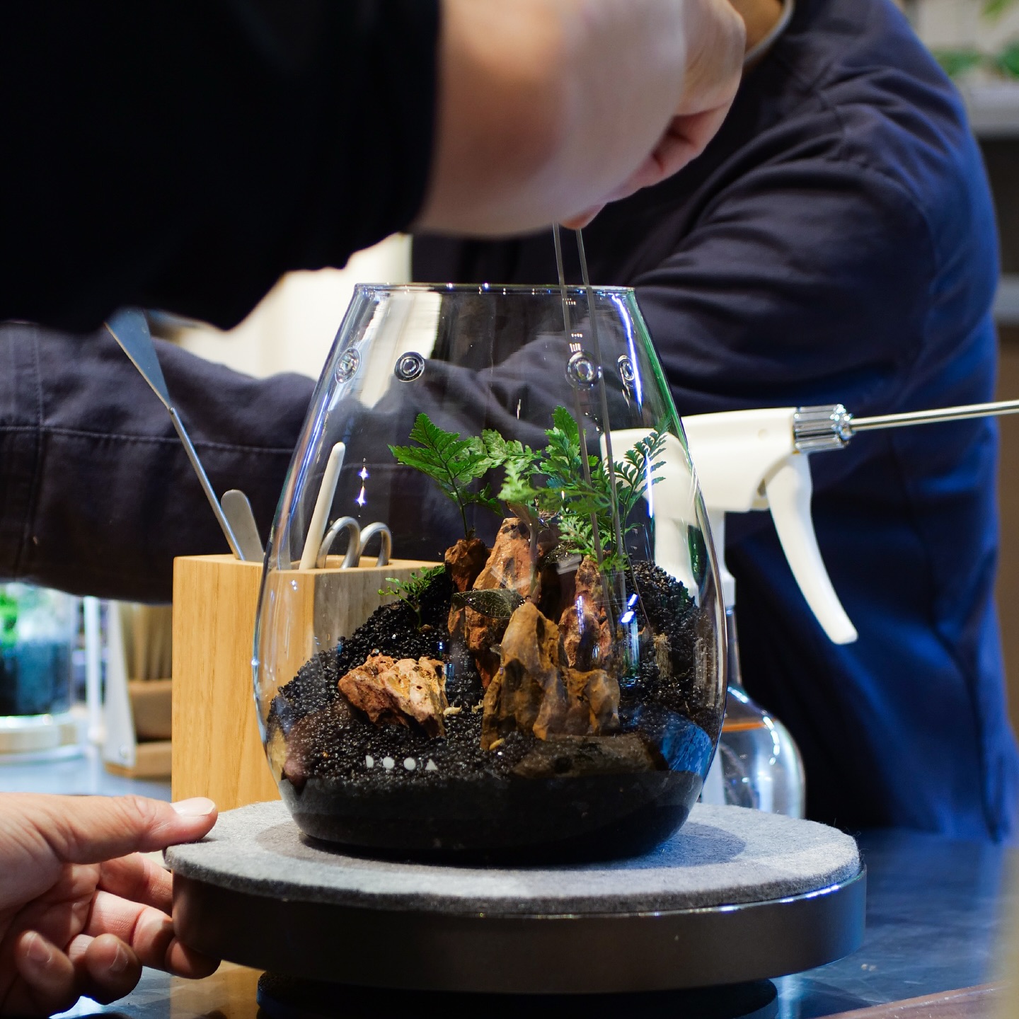 ADA LAB TOKYO〉ミニパルダリウム ワークショップのご紹介 | ADA LAB