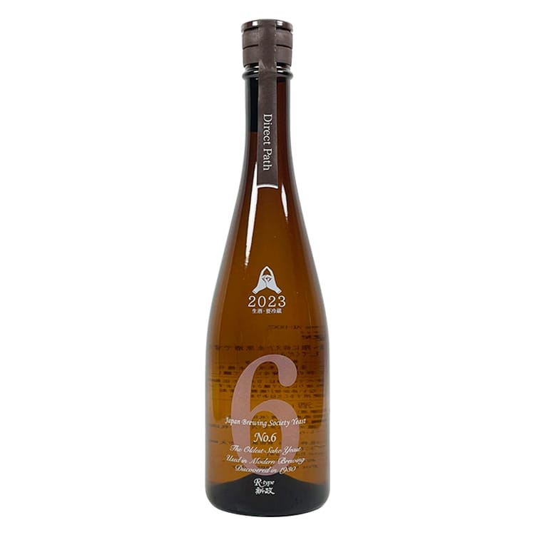 新政No.6 R-Type Direct Path