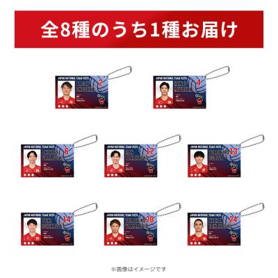 水曜日のダウンタウン DVD 全11巻セット 水曜日のダウンタウン DVD