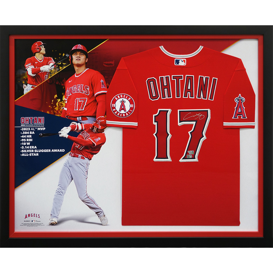 大谷翔平 直筆サインボールとサイン入りフォトセット＆パンフレット