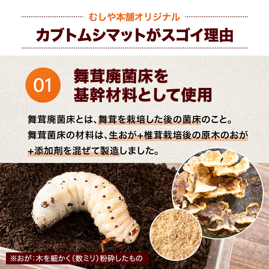 高カロリー！廃菌床発酵カブトムシ マット「BIG」10リットル 1袋】昆虫