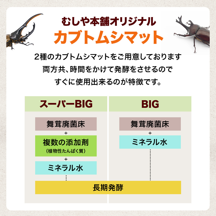 高カロリー！廃菌床発酵カブトムシ マット「BIG」10リットル 1袋】昆虫