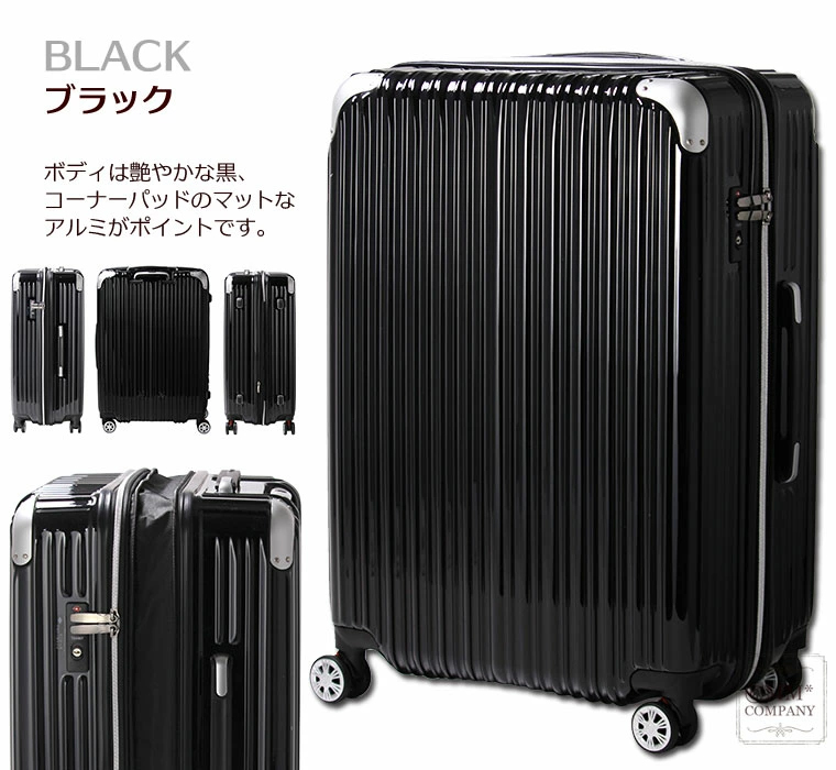 Siffler（シフレ） 抗菌 スーツケース Lサイズ 大型 97L 拡張機能付き