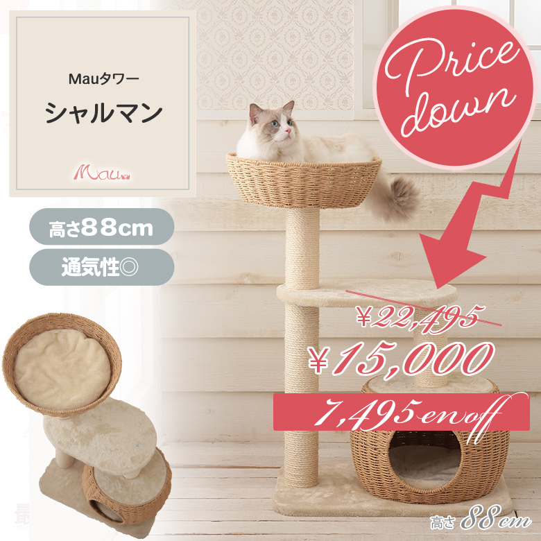 猫の日月間 2/1〜2/28】キャットタワー シャルマン カゴハウス＆カゴ