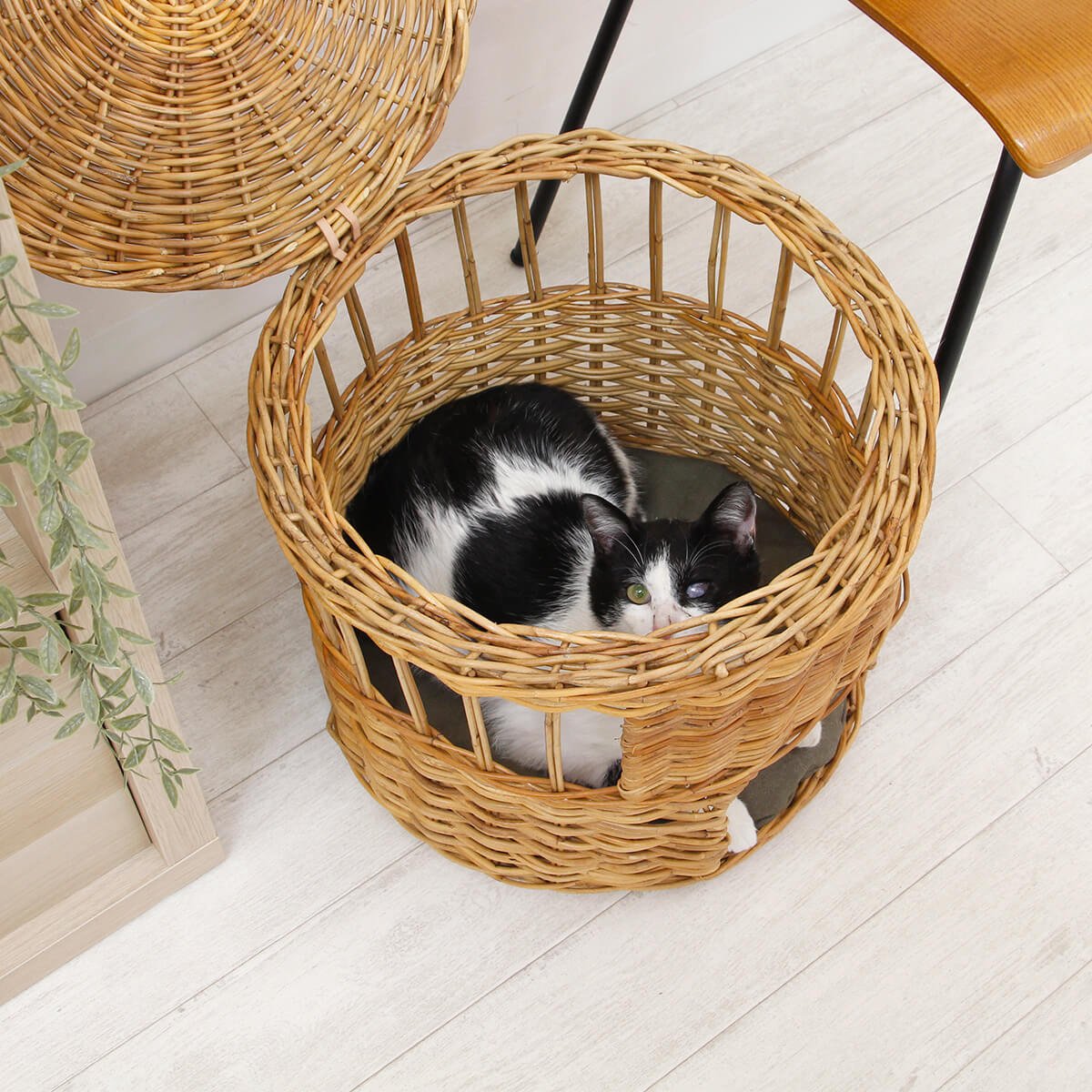 ねこハウス ふた付き -バイ ジ アラログ- GROOM/グルーム CAT HOUSE