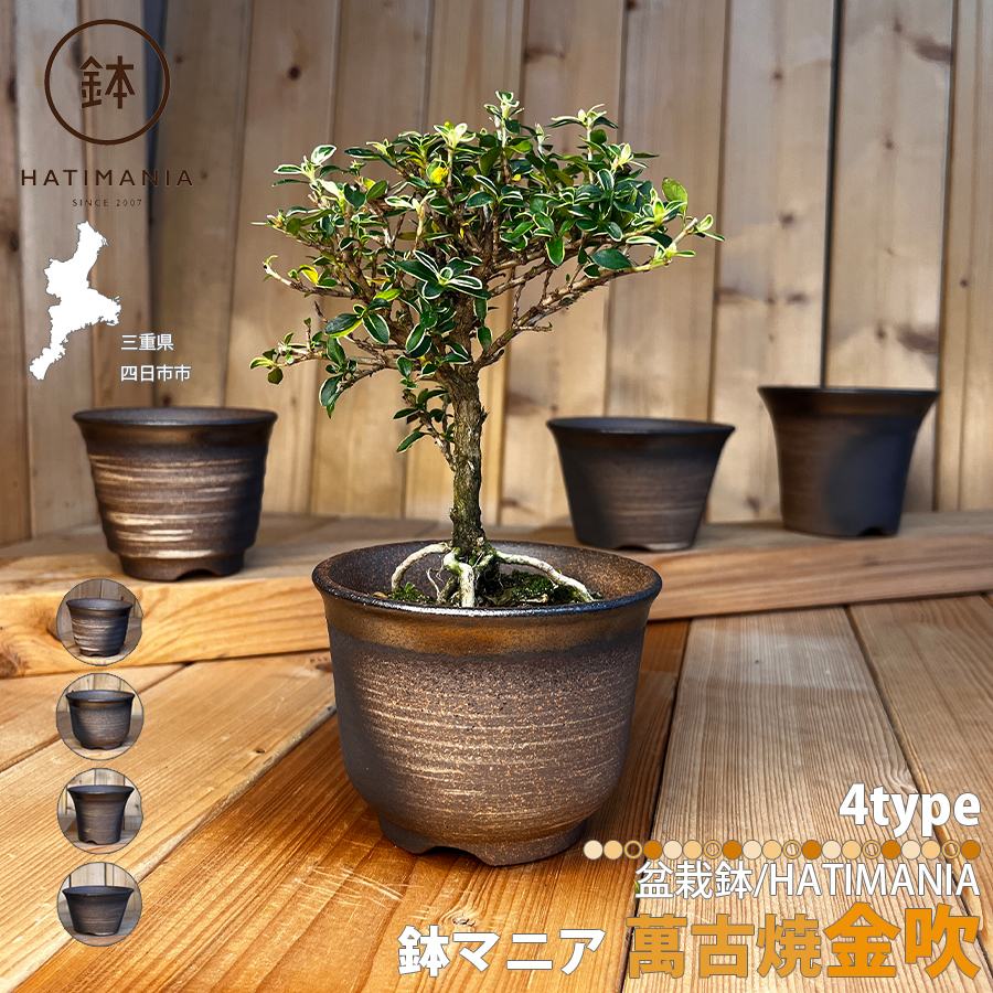 美人腰蘭鉢 多肉植物鉢 紫砂鉢 盆栽鉢 植木鉢 小品盆栽鉢 大品盆栽鉢