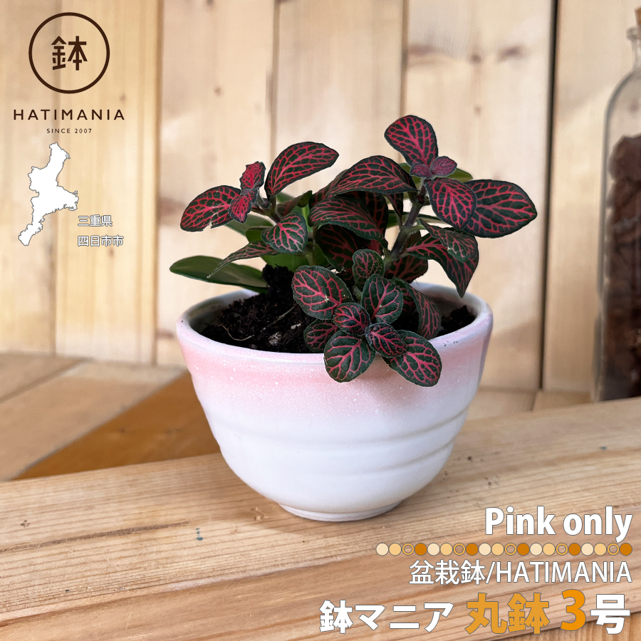 HATIMANIA 鉢マニア 丸型 3号 盆栽鉢 水が抜けやすい 小さい 小サイズ