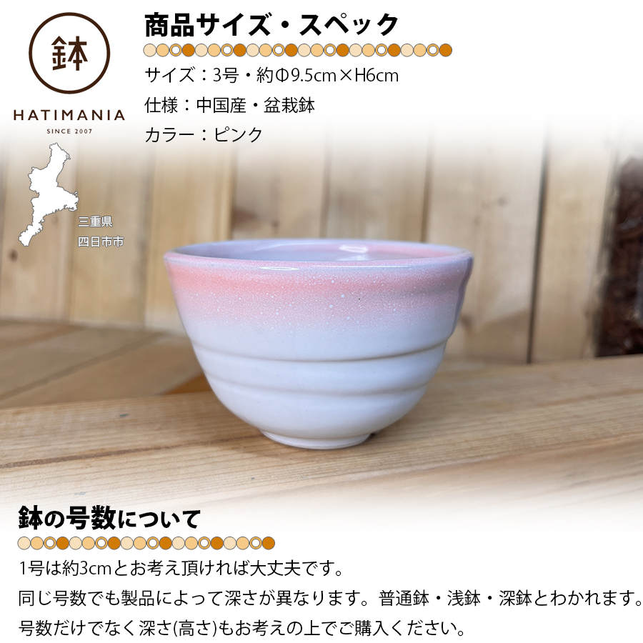 HATIMANIA 鉢マニア 丸型 3号 盆栽鉢 水が抜けやすい 小さい 小サイズ