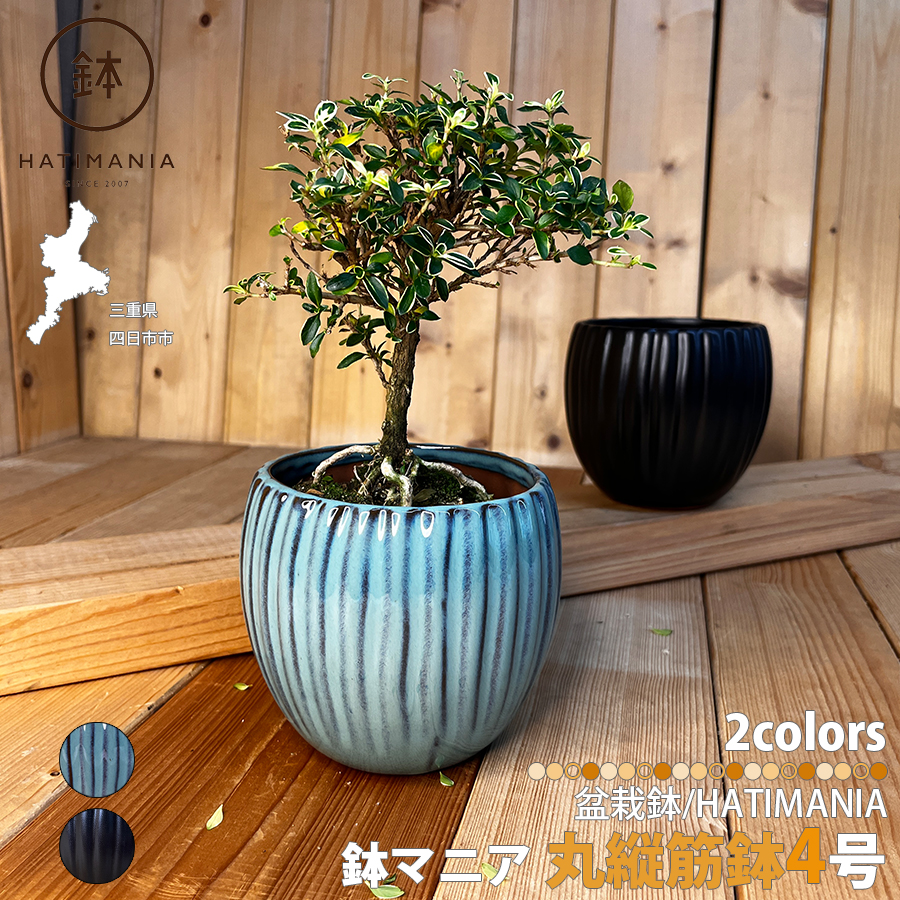 HATIMANIA 鉢マニア 丸鉢 2号 盆栽鉢 水が抜けやすい 小さい 小サイズ