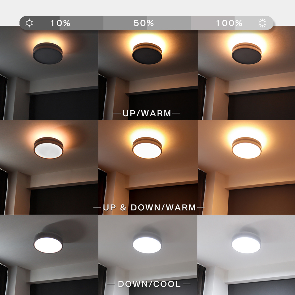 Edison Smart（エジソンスマート） LED デュアルシーリングライト 12畳