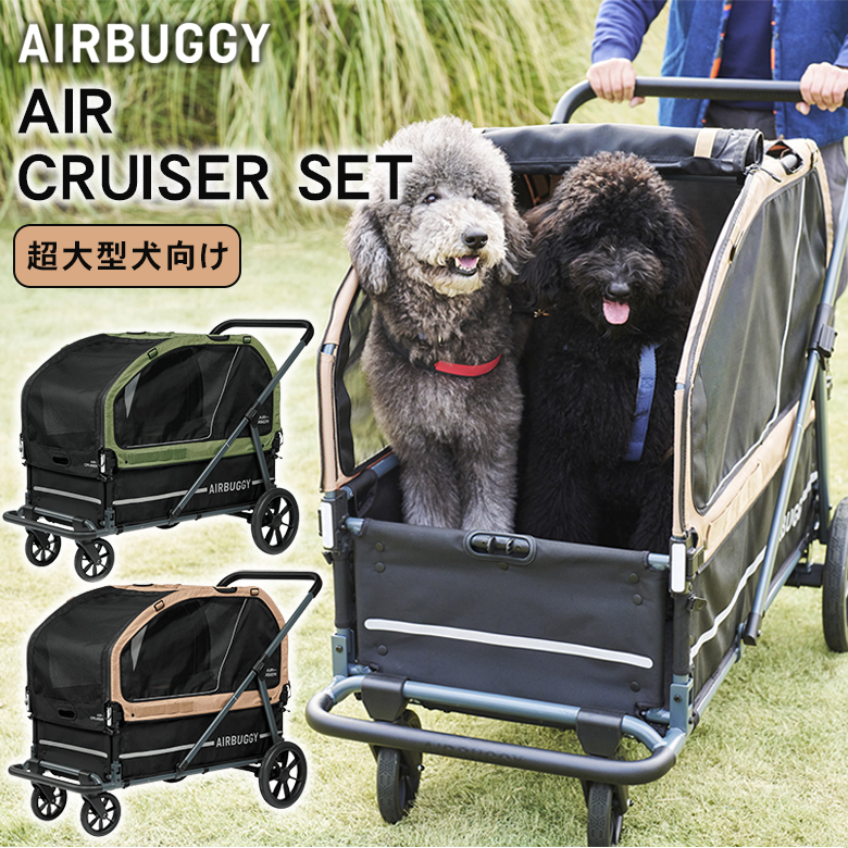 エアバギー AIR CRUISER SET【ベース・ルーフセット】 AIRBUGGY エア