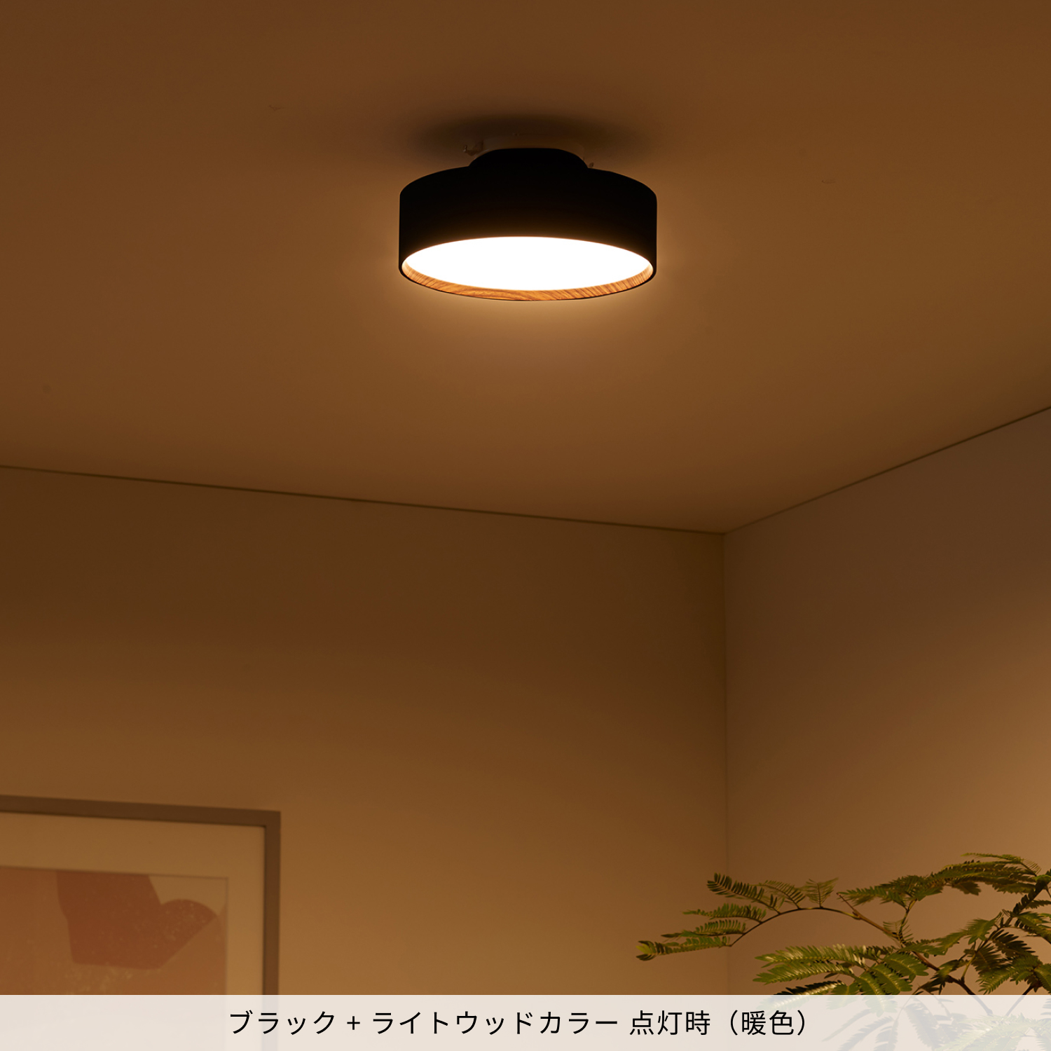 ARTWORKSTUDIO（アートワークスタジオ） シーリングライト 4畳 5畳