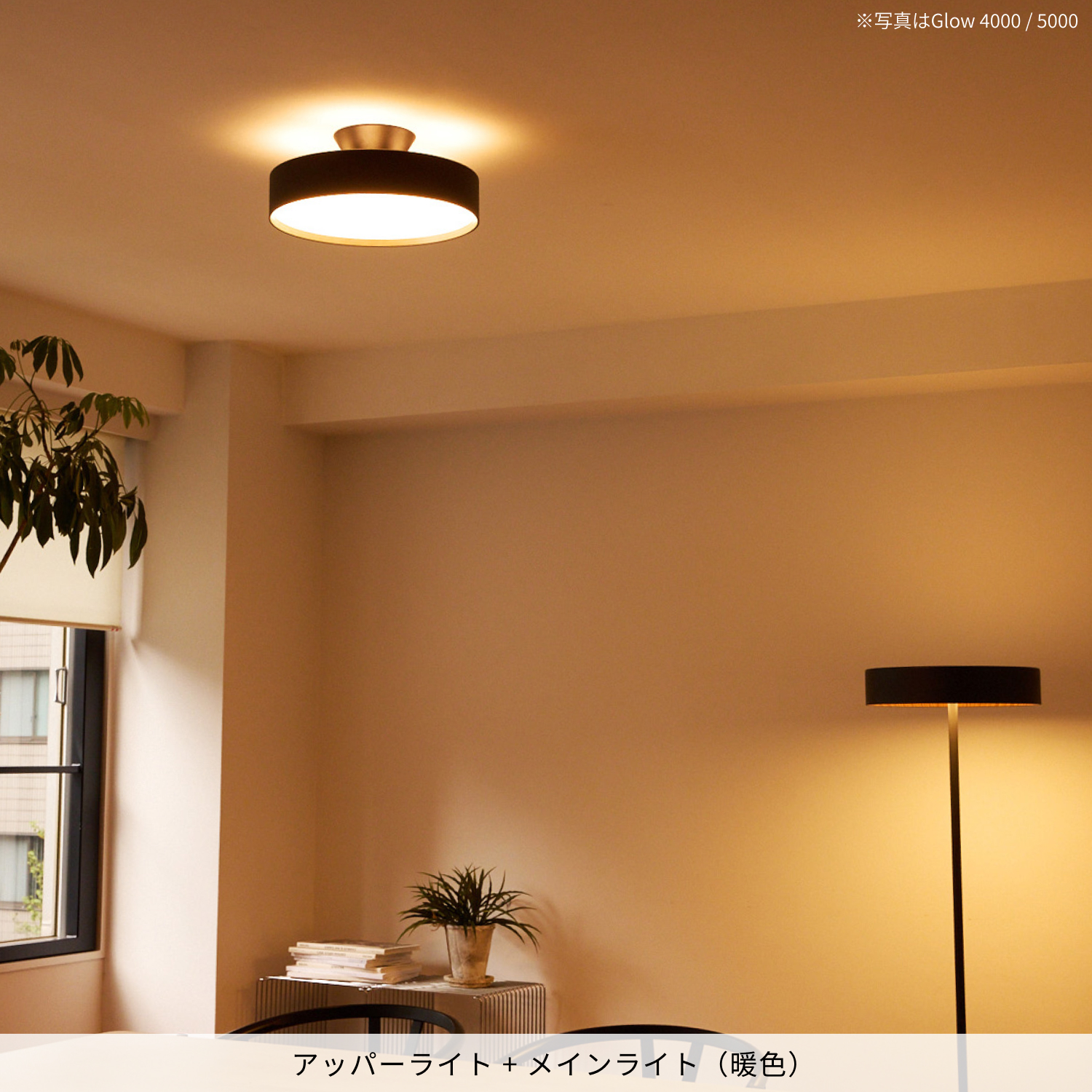 ARTWORKSTUDIO（アートワークスタジオ） シーリングライト 14畳 AW