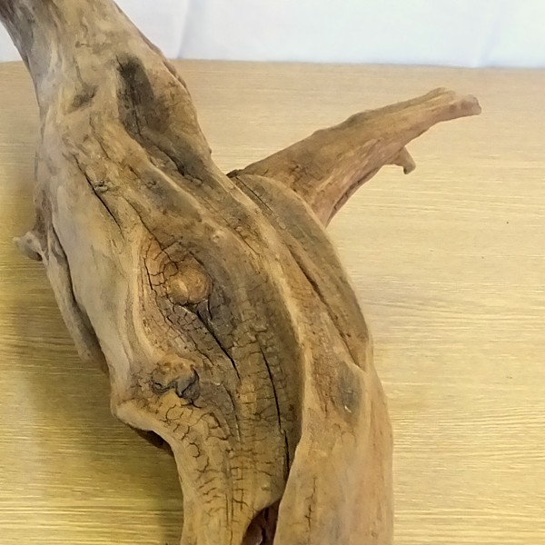 流木 販売 群馬 天然木 インテリア 大型 ryuboku-013 : 有限会社