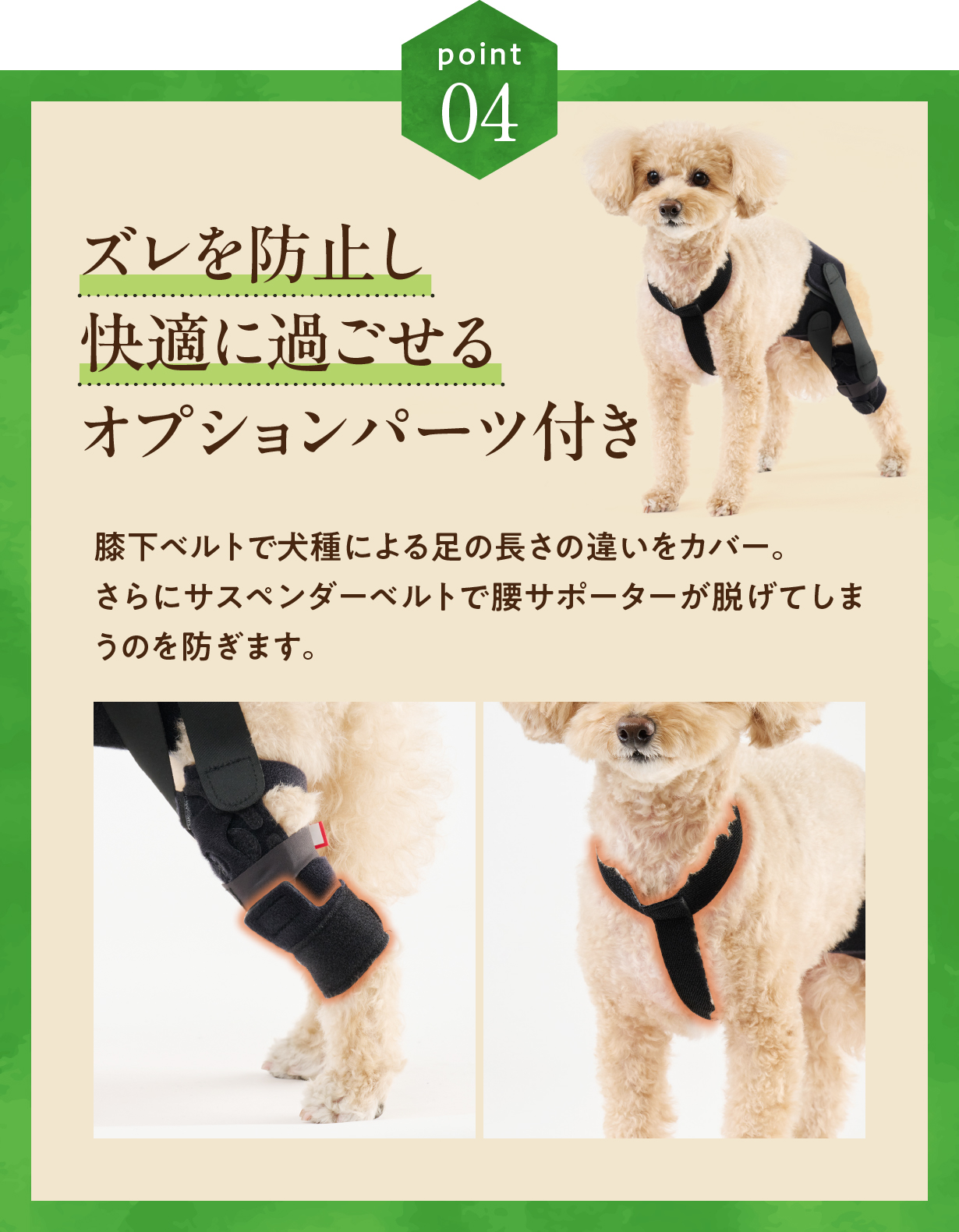 anifull 公式】 アニサポ パテラン 右 Mサイズ 小型犬向け アニフル