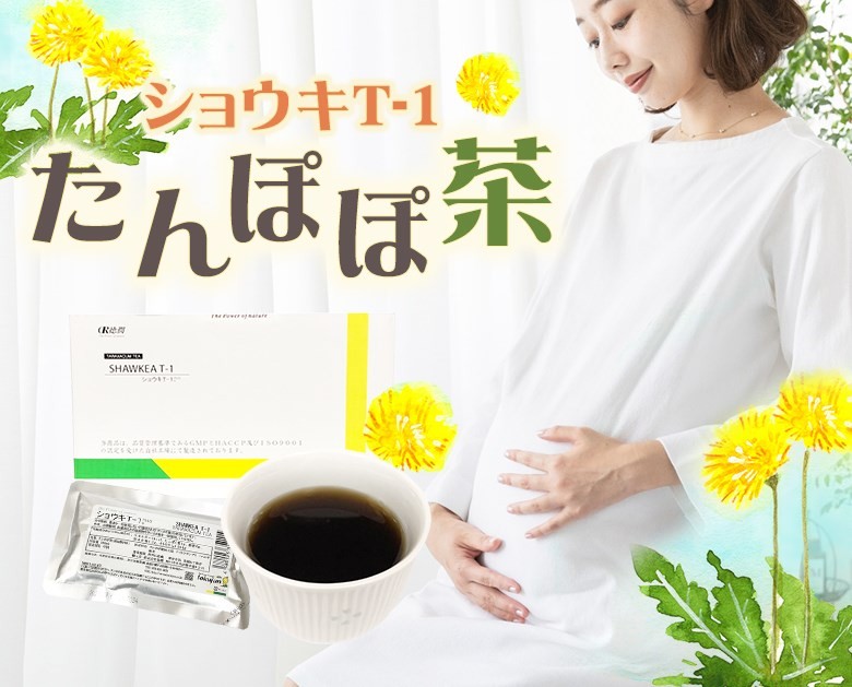 たんぽぽ茶 ショウキT-1プラス お試し3袋 不妊 妊婦 お茶 赤ちゃん