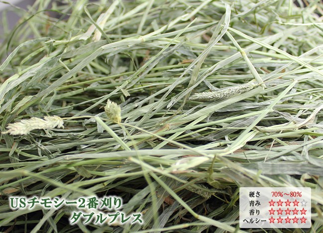 牧草市場 USチモシー 2番刈り 牧草 ダブルプレス 20kg袋入【sg