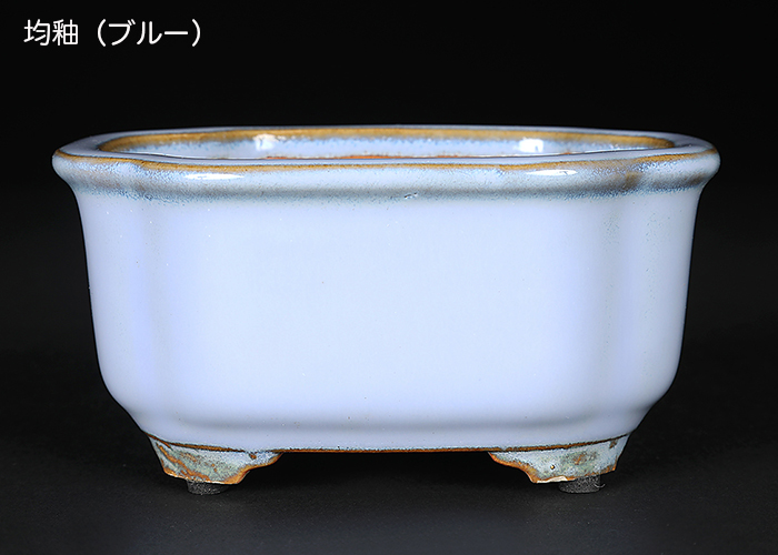 盆栽鉢 広東隅切長方鉢 石峰雨竹 植木鉢 陶器 落款あり 3.5号 10cm