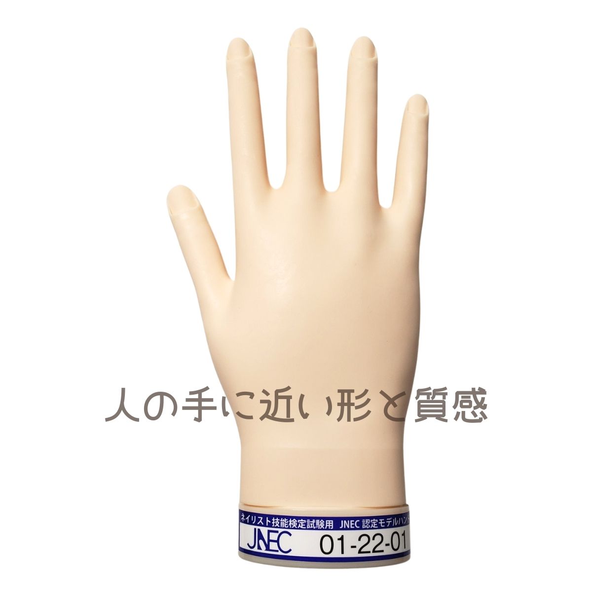 滝川（TAKIGAWA） JNEC認定ハンド STモデルハンド 右手 ネイルチップ