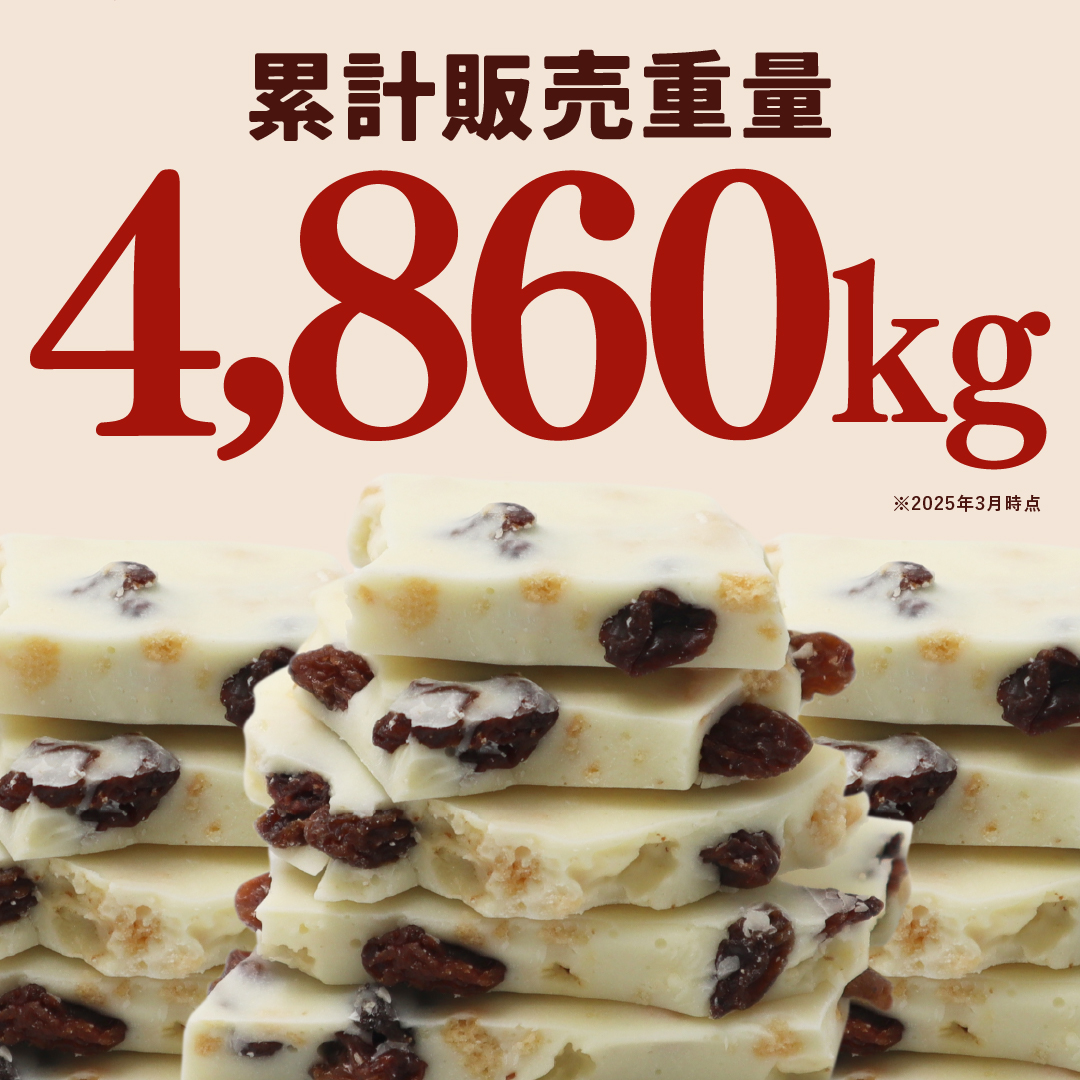 栄光堂 割れチョコ チョコレート 訳あり 妖艶なラムレーズン 450g